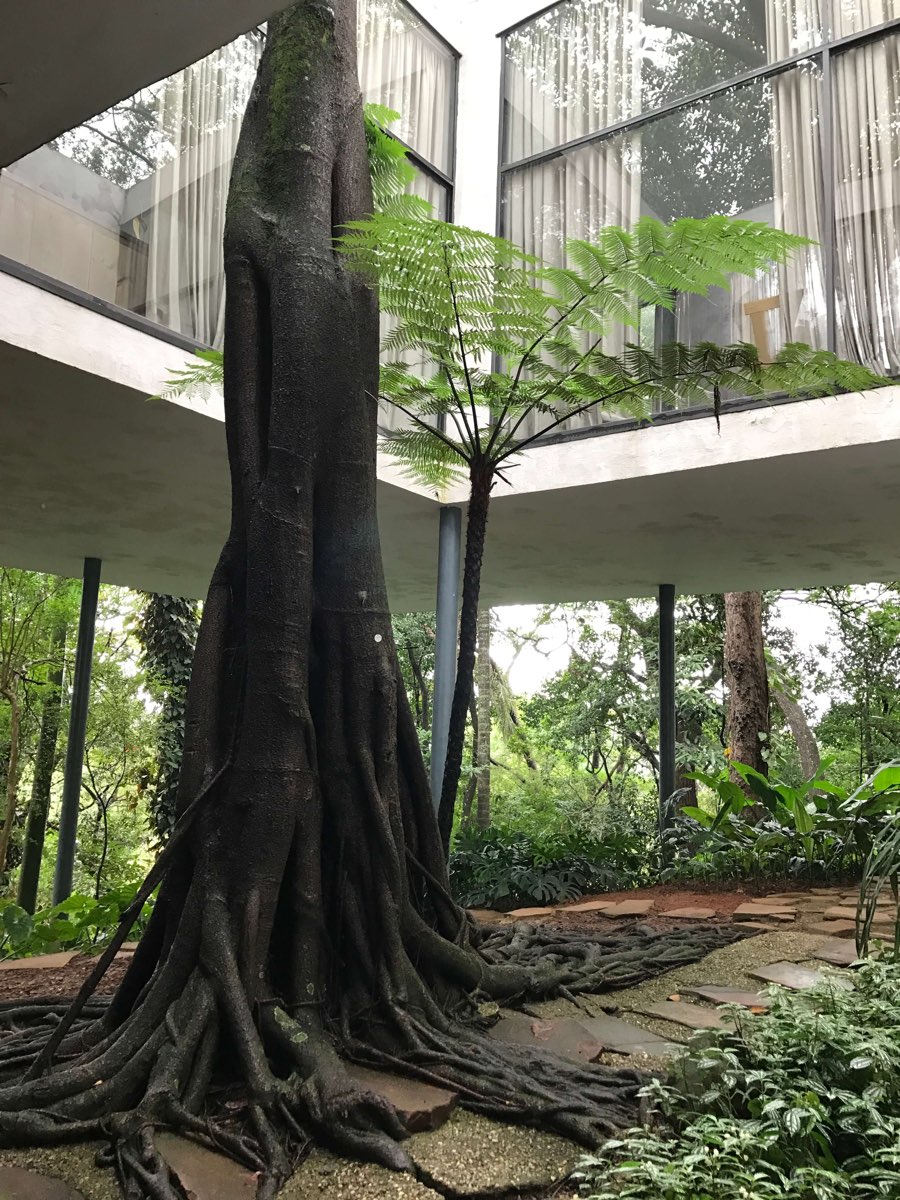 Glass House, Lina Bo Bardi, São Paulo